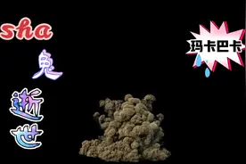 w      T   FHA's，我tm裂开视频封面