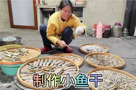 压冰箱底的10斤小河鱼，三嫂拿来制作小鱼干，看看烘干后还有多少视频封面