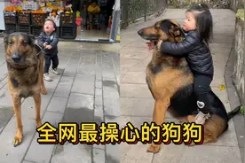 狗狗带娃出来溜达，萌娃非要拉狗狗进超市：要不你用我换点零食吧视频封面