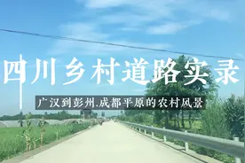 都说四川全是山区，其实成都平原一马平川，这样的乡村路说明一切视频封面