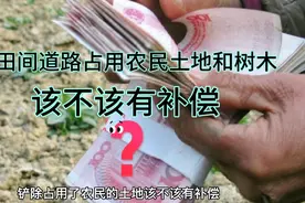 村里拓宽田间路，占用农民土地和树木，有没有补偿，补偿谁来出？视频封面