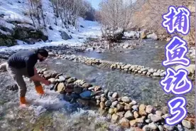 在山间小溪用石头围住，设置陷阱捕鱼，不仅省力又轻松视频封面