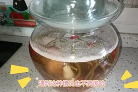 泡菜生花不要慌，只需放入1种小东西，方法简单还管用视频封面