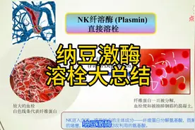 溶栓，纳豆激酶你最棒视频封面