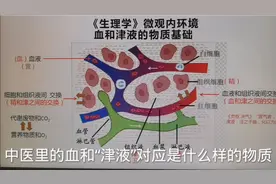中医的血和津液到底是什么？不弄明白学中医相当困难