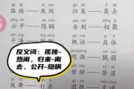 反义词：孤独-热闹，归来-离去，公开-隐瞒，干净-肮脏……