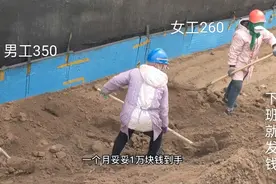 工地小工一天350元，女工260一天，工人干劲十足视频封面