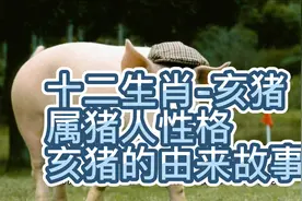 十二生肖之亥猪，猪是怎么排进十二生肖的，属猪人是哪年生人！视频封面