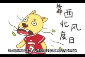 下一秒就会笑喷的文案视频封面