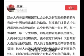 没有任何国际组织认定狗是人类的伴侣动物，即使有，我们也不承认视频封面