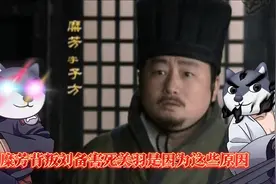 糜芳背叛刘备害死关羽是因为这些原因视频封面