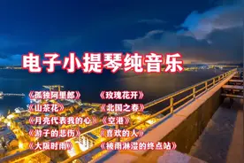好听的电子小提琴纯音乐十首 动人的旋律 减压舒缓放松心情超治愈视频封面