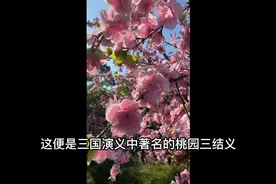 无锡三国城桃园三结义拍摄地视频封面