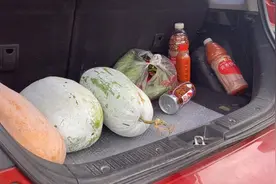 小舅打工回家准备改造危房，老妈安排我去送菜，一后备箱满满爱视频封面