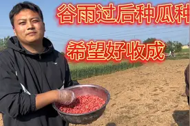 河南农村谷雨过后种瓜点豆，今天把花生播种上，希望好收成大丰收视频封面
