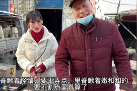 羊身上哪个部位的肉吃着最得劲？听宰羊大哥给你介绍，句句大实话视频封面