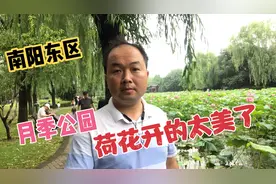 南阳老乡这里的荷花开了，就在月季公园，引得路人围观拍照太美了视频封面