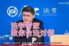 刑法专家罗翔教你合法讨债