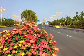 最美罗庄湖北路视频封面