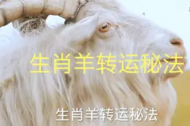 生肖羊转运秘法视频封面