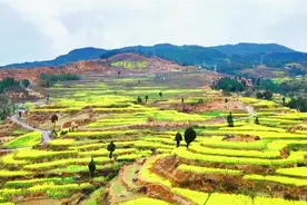 航拍中国核工业基地 广元三堆镇视频封面