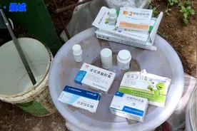 狗狗感冒，流鼻涕，发烧，眼屎多，等！狗狗用药