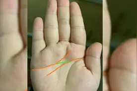 手相解读：这种也属于断掌纹，利于财运的开创视频封面