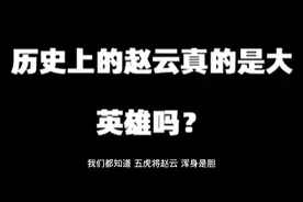 历史上的赵云真的是大英雄吗？视频封面