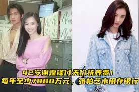 42岁谢霆锋付天价抚养费！每年至少7000万元，张柏芝未用存银行视频封面