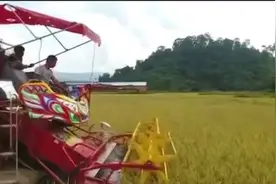 世界上双胞胎国家人人讲汉语满街都是汉字还使用人民币过中国春节视频封面