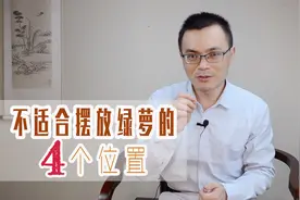 家中哪些地方不适合摆放绿萝？分享4个不宜的位置，别再乱摆绿萝视频封面