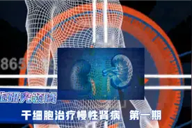 细胞研究领域:干细胞有效改善肾功能，让肾衰竭慢下来…第一期视频封面