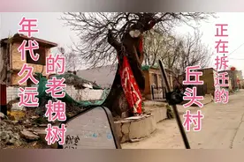 带您探寻藁城被托管的村庄丘头，即将拆迁消失的大丘头视频封面