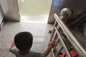 两兄弟坐一个车子是有点挤，今天我们是好兄弟。视频封面