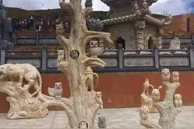 在另一个国度等你视频封面