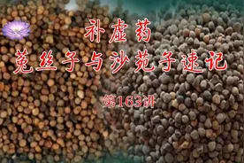 中药速记第163讲，补虚药菟丝子与沙苑子速记视频封面