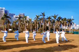 陈炳大师正规军与野战军一起合练《74老架一路拳》欢迎大师们点评视频封面