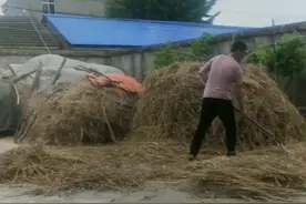 儿子加油我爱你宝贝视频封面