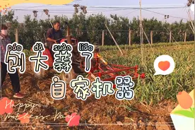 大蒜成熟了，开始安排刨大蒜，自家机器，绝对比人力省劲还好使视频封面