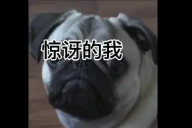 WTF（吐槽我同学的视频）