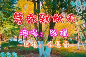 我只能等你到秋天，因为秋是一种轮回，秋风吹过，生命将沉睡……视频封面