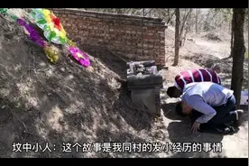 坟中小人视频封面