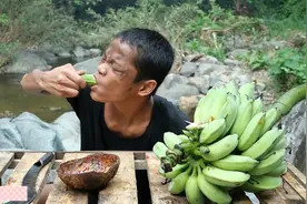 吉吉国王野外发现一大坨青香蕉，蘸上辣椒酱一口咬下去，太好吃了视频封面