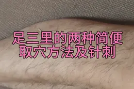 足三里的两种简便取穴方法及针刺视频封面
