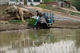 海城市2021年5月12号水稻开始插秧视频封面