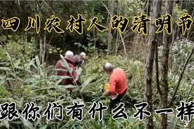 四川农村人的清明节越来越简单，看看跟你们哪里有不一样的吗？视频封面