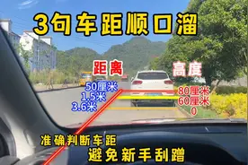 3句开车顺口溜，让你精准判断各种车距，有效避免上路刮蹭视频封面
