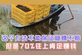 养虾一直亏的朋友或者新手可以看看这个视频，详细稳当的养殖步骤视频封面