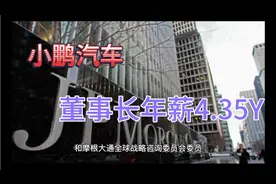 中国最贵科技高管：小鹏汽车总裁年薪4.35亿，是理想总裁12倍视频封面