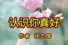 诵读经典：现代诗人徐志摩的散文《认识你真好》与您共享。视频封面